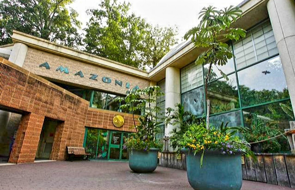 National Zoo washington dc