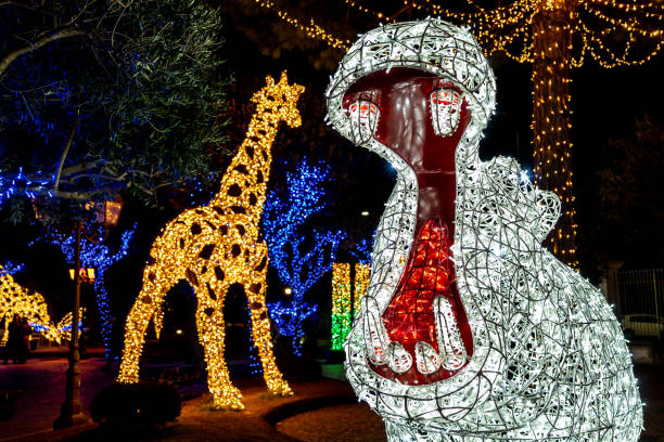 zoolights DC