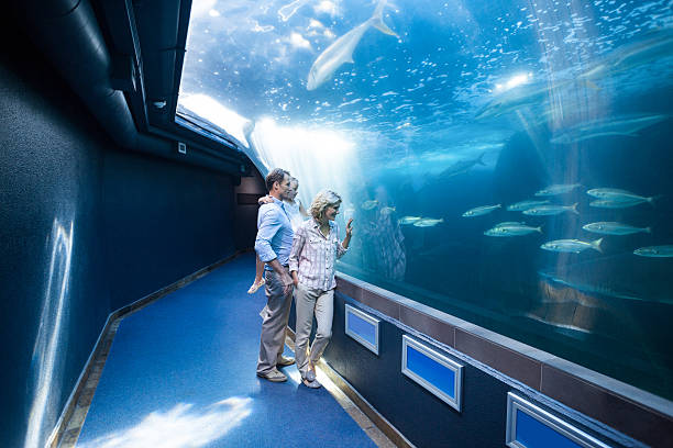 Ocean interactive exhibit