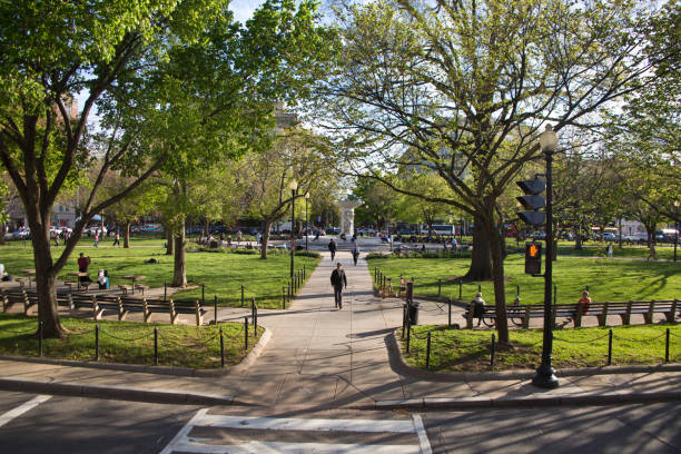 people walking in the park in Washington DC