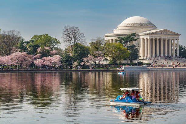 Tidal Basin Paddle Boat for Two