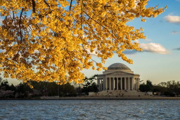 Jefferson Memorial DC